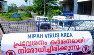 Alerta en el sur de la India tras confirmar dos fallecidos y varios hospitalizados por el virus mortal Nipah, cuya tasa de mortalidad es del 70 por ciento