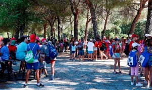 Recomendaciones de Codem Educa para los campamentos de verano infantiles