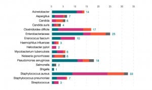 Resistencia antimicrobiana: 90 fármacos en desarrollo contra 17 patógenos