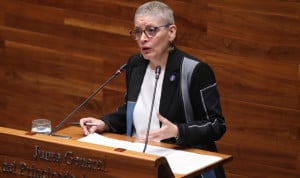 Concepción Saavedra, consejera de Salud del Principado de Asturias.