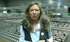 Sagardui justifica los ceses en Donostialdea por "diferencias" del proyecto