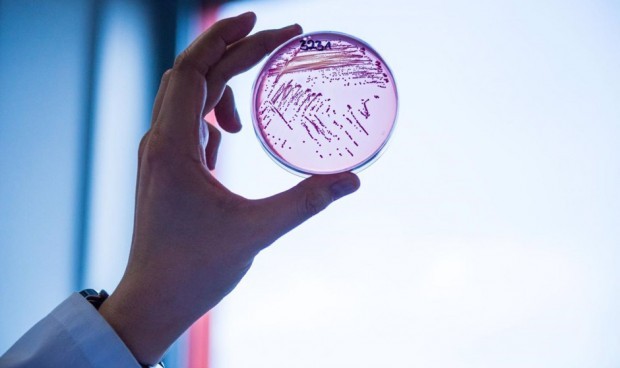 Sanidad inicia un bordaje integral de infecciones antimicrobianas