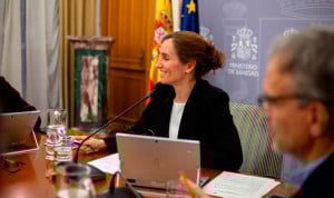 Sanidad confía en aprobar el 3 de diciembre el protocolo común de la gripe