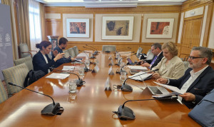 Sanidad iniciará tras Semana Santa la vigilancia a la reforma de Primaria