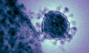Sanidad no descarta que llegue a España algún caso del coronavirus