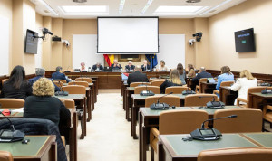 Comisión de Sanidad del Congreso, que no avanza en la negociación de la Ley de Universalidad