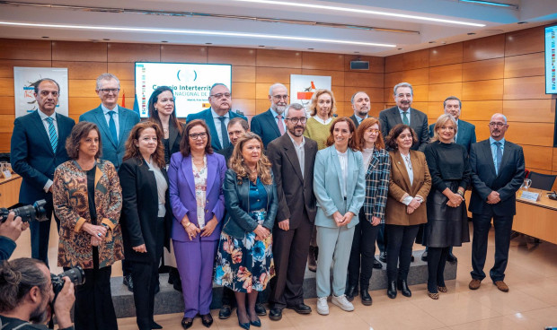 Foto de familia de los asistentes al pleno del Consejo Interterritorial del Sistema Nacional de Salud (Cisns) del pasado febrero. Las CCAA gobernadas por el PP han pedido a la ministra un monográfico para abordar la situación para este verano