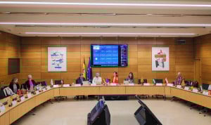 Debate del Estatuto Marco en el pleno del Consejo Interterritorial