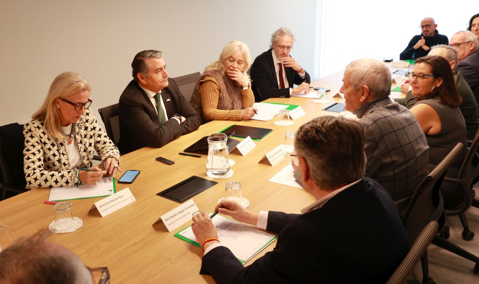 Sanz anuncia que Cádiz incrementa su plantilla con 372 sanitarios