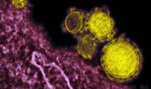 Se duplican los muertos por coronavirus chino en un día: ya hay 17 víctimas