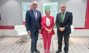 Sedisa detecta los retos para mejorar la asistencia sanitaria en País Vasco