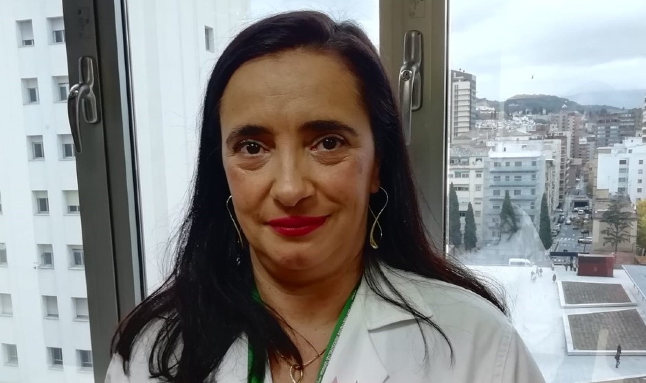 Sedisa subraya la necesidad de proyectos colaborativos y trabajo en red