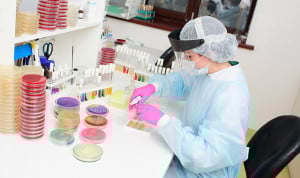 Dos vacantes en Malta para farmacéuticos con bonificación por mudanza