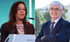 Silvia Calzón y Justo Herrera, Gran Cruz de la Orden del Mérito Civil