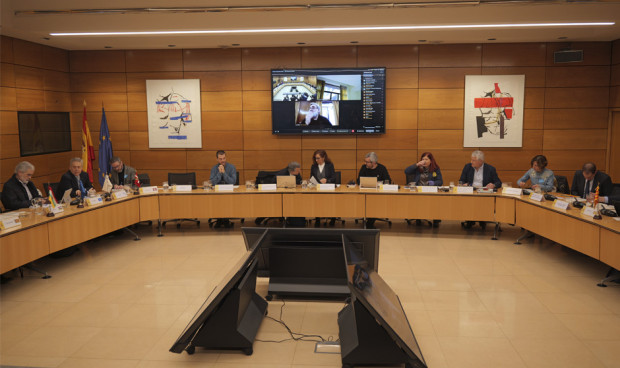 Reunión del Consejo Interterritorial del Sistema Nacional de Salud. 