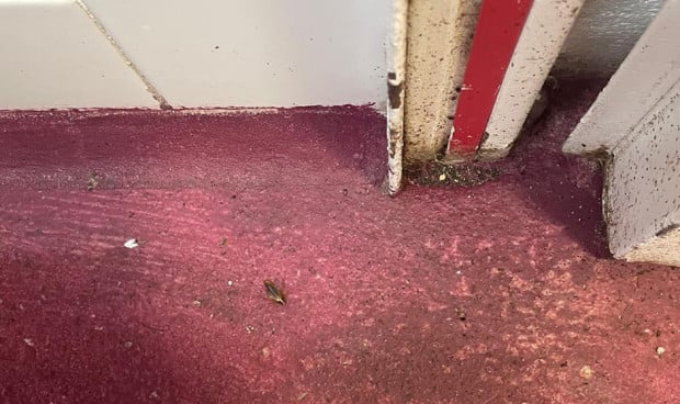 Aspecto de la residencia Domus VI denunciado por el sindicato SAE. 