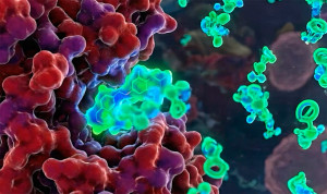 Telefónica, Vithas y UFV usan computación cuántica en fármacos oncológicos