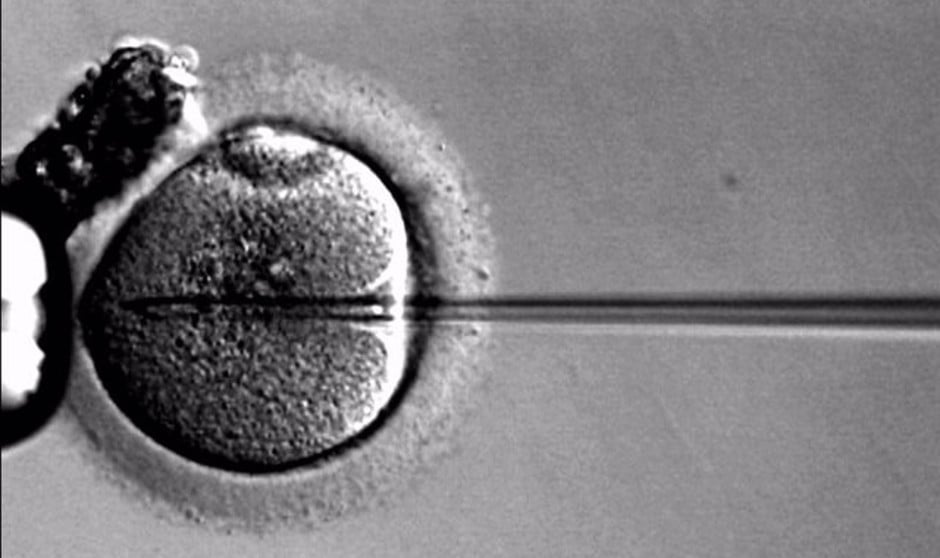 Toque de atención a la sanidad valenciana por la reproducción asistida