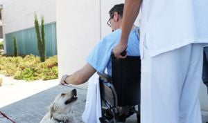 Torrevieja y Vinalopó permiten a los pacientes la visita de sus mascotas