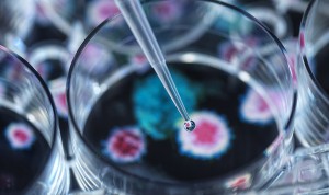 El secreto del alto contagio de las variantes BA.4 y BA.5 está en su espiga