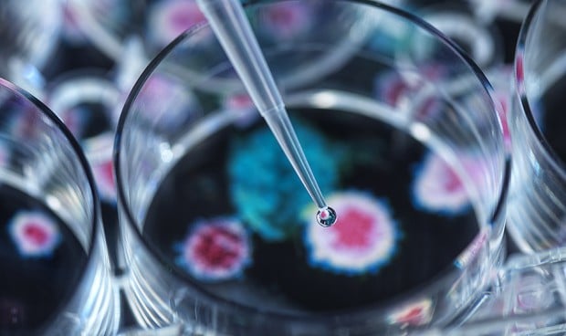 El secreto del alto contagio de las variantes BA.4 y BA.5 está en su espiga