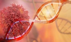 Un anticuerpo activa la inmunoterapia y frena el crecimiento de melanoma