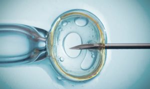 Un equipo español desarrolla un método que mejora la reproducción asistida