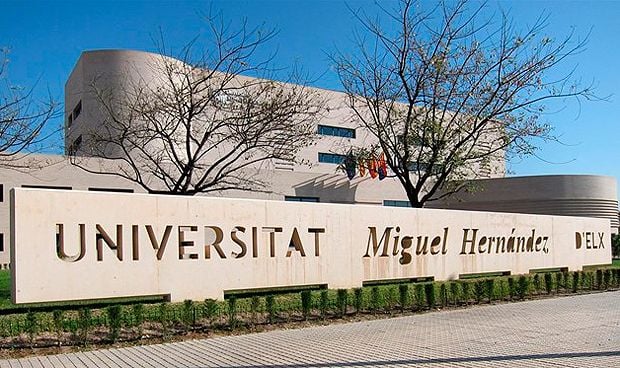 Un extracto de romero demuestra actividad antitumoral en cáncer de colon