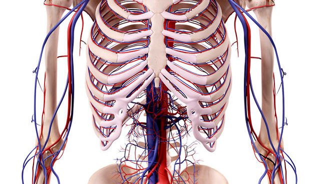 Un filtro en la vena cava reduce la mortalidad en enfermedad tromboembólica