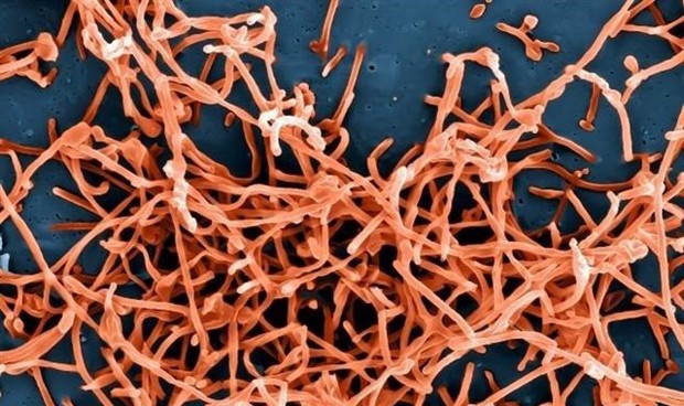 La 'sombra' del ébola vuelve a Europa con un posible caso en investigación