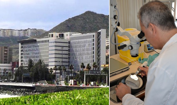 Un implante biónico para evitar los vértigos de los mayores