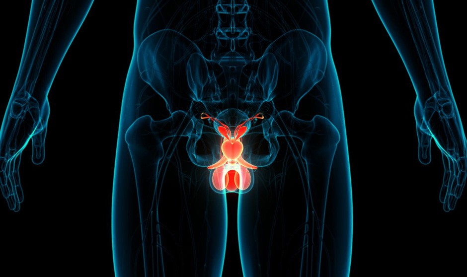 Científicos británicos desarrollan una prueba diagnóstica de cáncer de próstata con solo un análisis de sangre