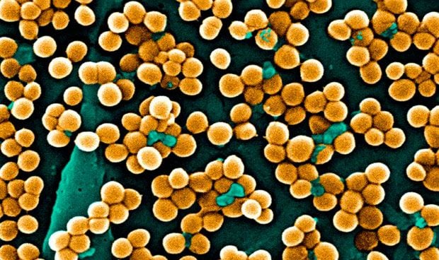 Un nuevo desinfectante contra las bacterias resistentes en hospitales