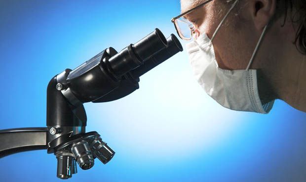 Un nuevo método permite detectar la carga bacteriana en una muestra fecal