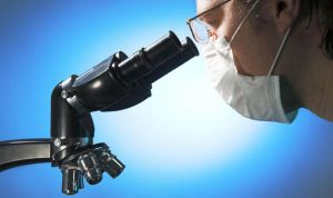 Un nuevo método permite detectar la carga bacteriana en una muestra fecal