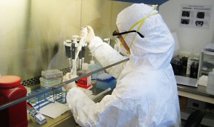 Un nuevo tratamiento consigue poner contra las cuerdas a las superbacterias