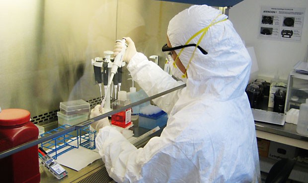 Un nuevo tratamiento consigue poner contra las cuerdas a las superbacterias