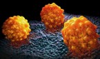 Un regulador genético facilita la metástasis del cáncer de páncreas