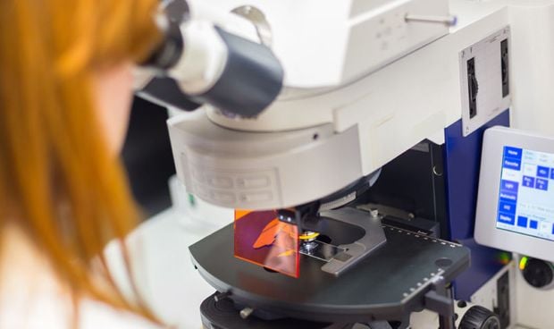 Un test detecta una recada del cncer de vejiga antes que la citologa