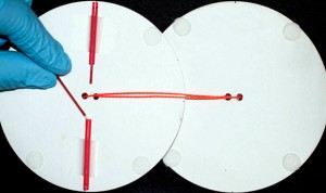 Una centrifugadora de papel y cuerda detecta la malaria en sangre