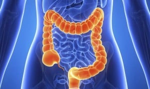 Una colonoscopia negativa reduce hasta un 90% la muerte por cáncer de colon