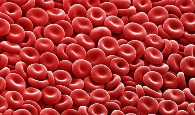 Una fórmula crea glóbulos rojos 'a la carta' sin límite de número