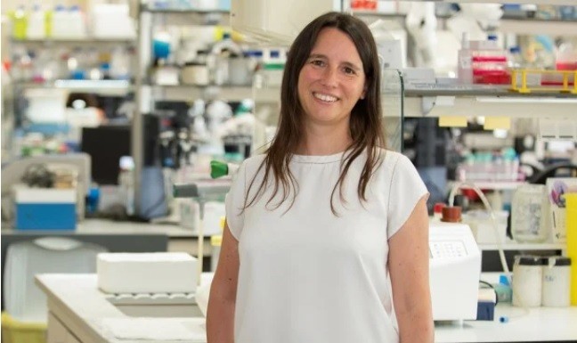 Una nueva CAR-T académica busca el 'ok' de la Aemps tras el verano