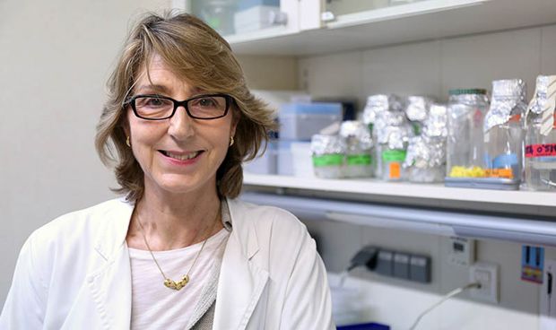 Una proteína del riñón, nueva diana terapéutica del síndrome metabólico