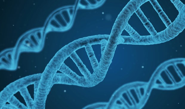 Una prueba de ADN predice la evolución y la recurrencia del melanoma