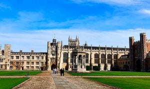 Una red cerebral enciende el 'piloto automático' para las tareas rutinarias