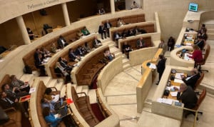 El Pleno del Parlamento de Cantabria aprueba incorporar a médicos en los equipos que reconocen las discapacidades