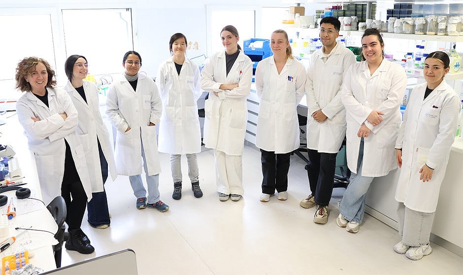 La investigadora Mónica López, junto con el resto del equipo del grupo de Nanomedicina del Instituto de Investigación Valdecilla. 