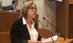 Ventura justifica los fallos de fiscalización de la sanidad aragonesa