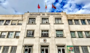 Notas de corte de Veterinaria.